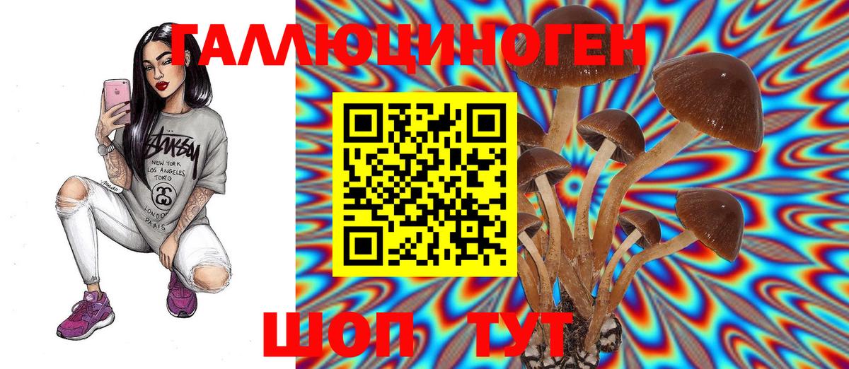 Галлюциногенные грибы MAGIC MUSHROOMS Гурьевск